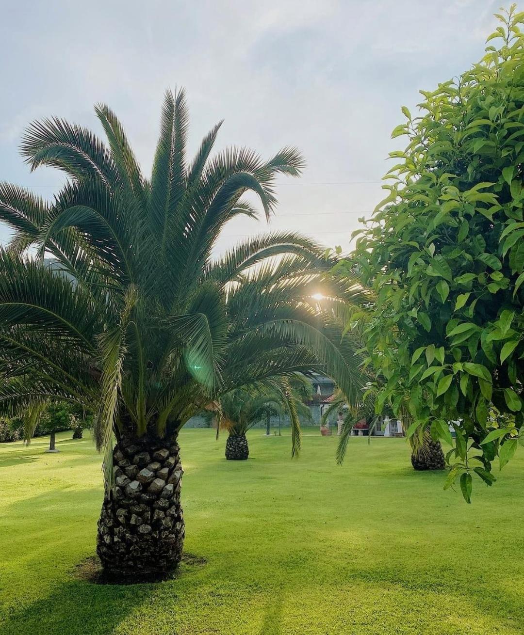 B&B Terra Di Liguria Casarza Ligure Zewnętrze zdjęcie